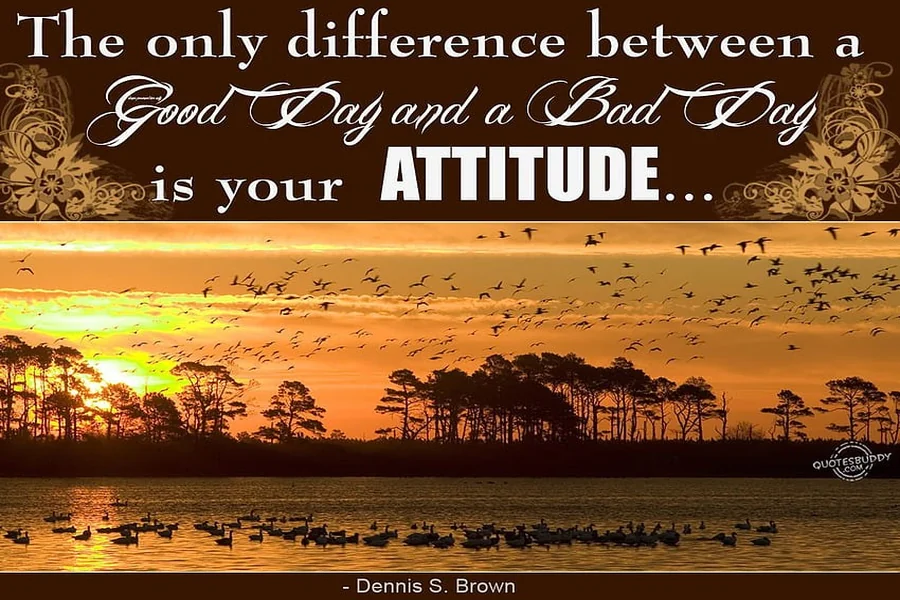 Attitude Quotes