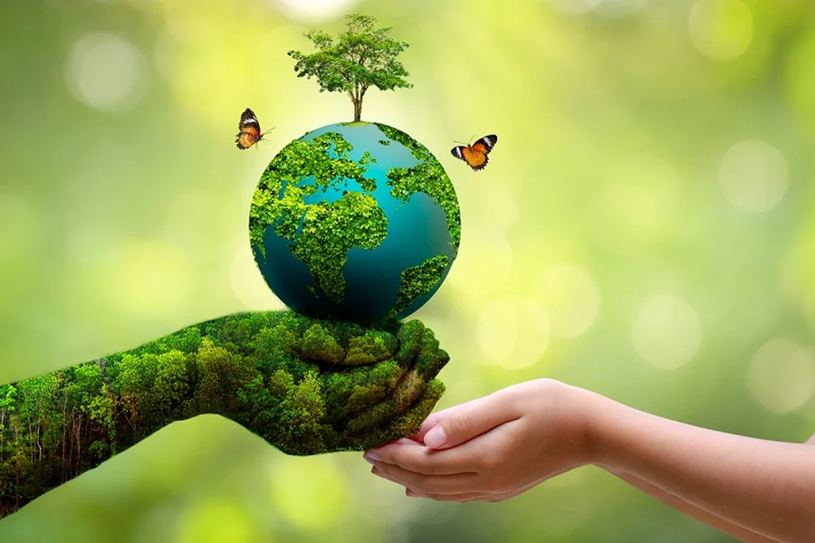 Understanding Environmental Law