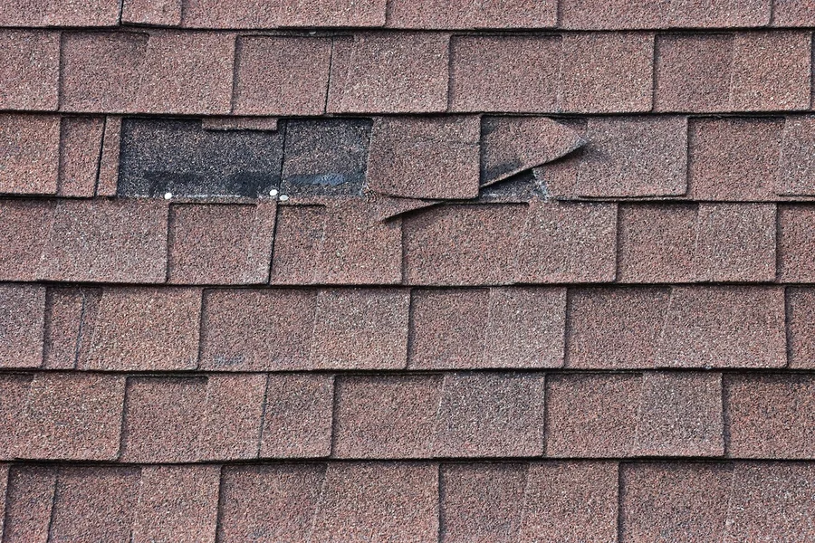 Shingle